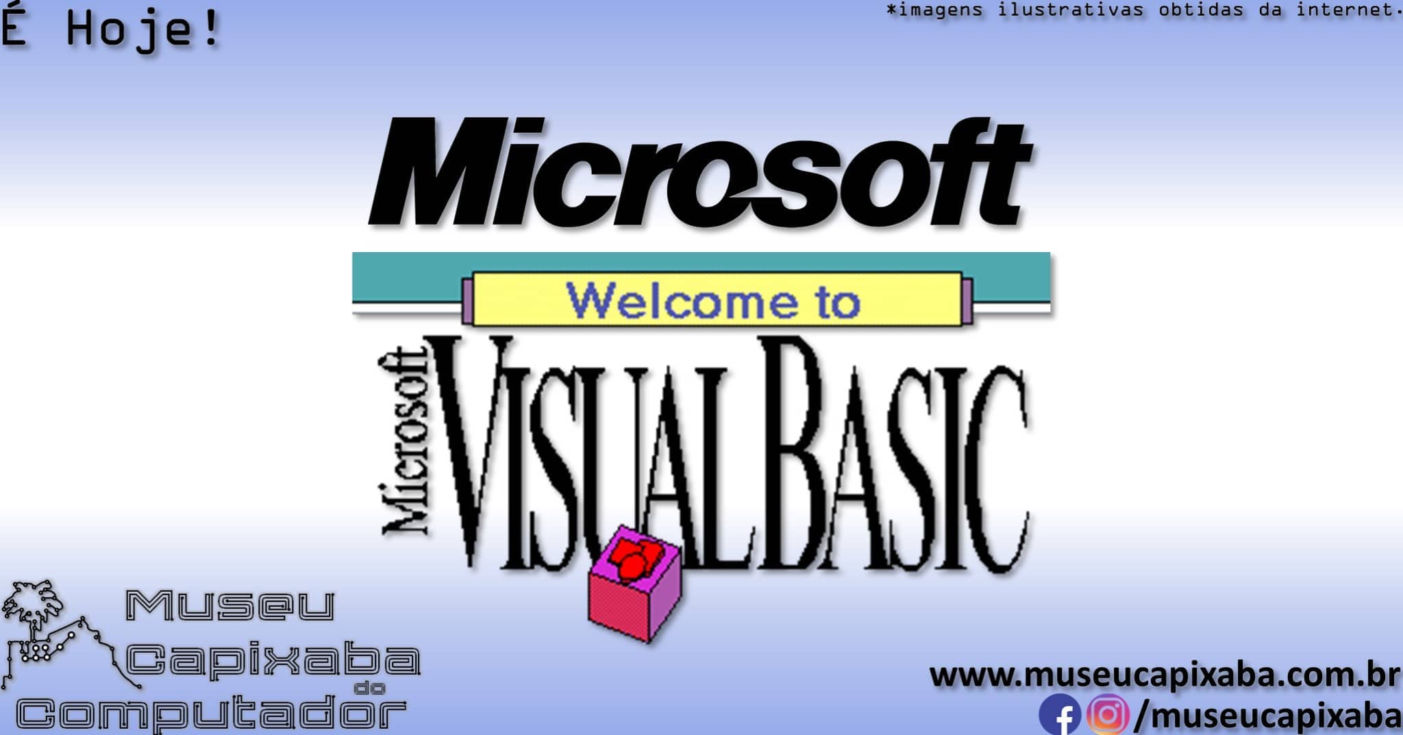 Microsoft Visual Basic 1