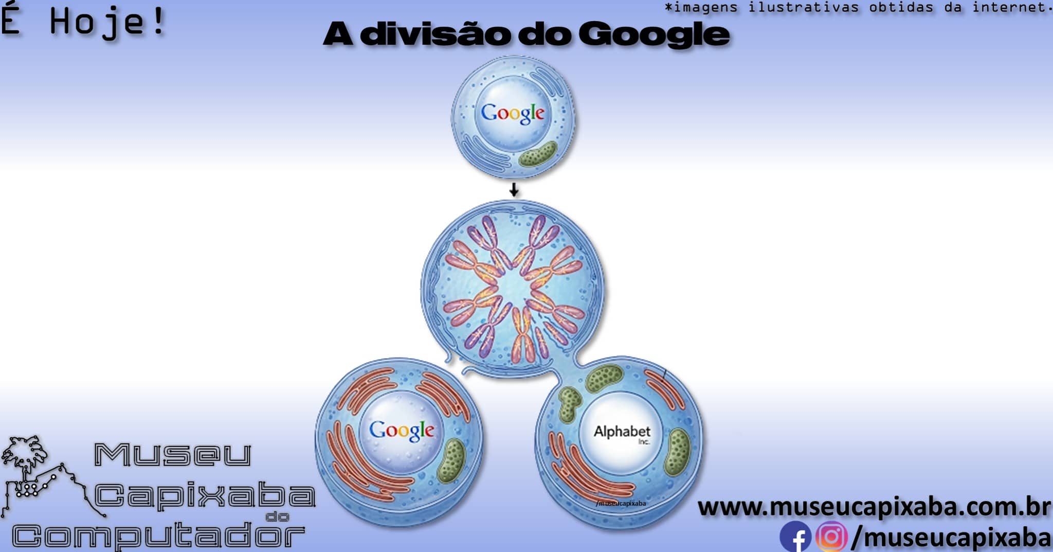 fundação do Google em 7
