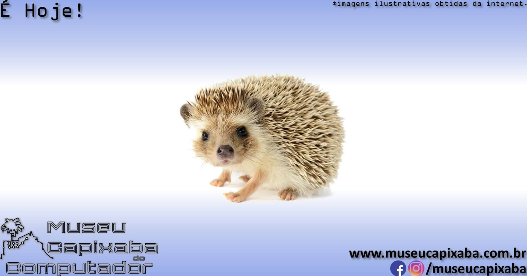 jogo Sonic the Hedgehog 2